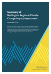 Summary of Wellington Regional Climate Change Impact Assessment preview