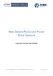 New Zealand Fluvial and Pluvial Flood Exposure preview