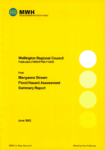 Mangaone Stream Flood Hazard Assessment Summary Report preview