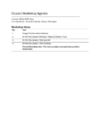 Council Workshop Agenda 19 May 2026 preview
